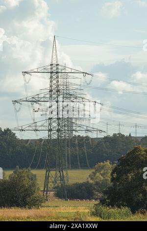 Plusieurs pylônes électriques les uns derrière les autres traversant le champ Banque D'Images