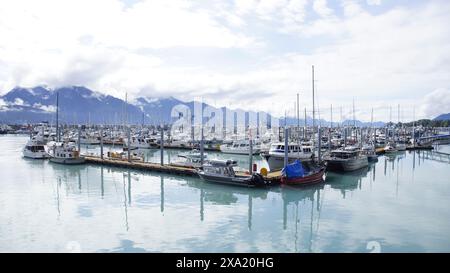 Une variété de bateaux amarrés à un quai, avec un bateau gris et blanc distinctif Banque D'Images