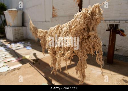 Fibres végétales naturelles suspendues au séchage au soleil, en préparation pour une utilisation dans la fabrication artisanale du papier. Banque D'Images