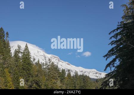 Une piste de ski avec poteau de signalisation dans un cadre forestier Banque D'Images