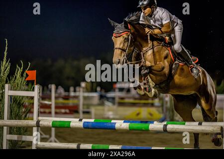 Un cheval et son cavalier sautent ensemble par-dessus une clôture sous le ciel nocturne Banque D'Images