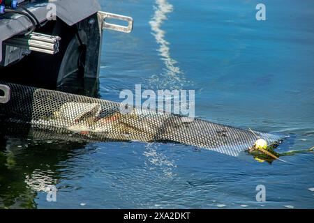 Un robot collecteur de déchets flottant navigue à Huntington Beach, CA. Contrôlé à distance par un logiciel autonome, l'appareil collecte les déchets flottants et har Banque D'Images