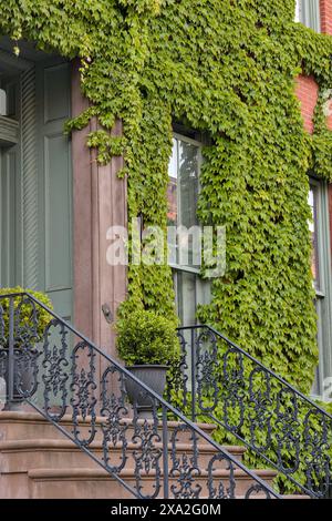 détail du bâtiment jersey city brownstone (bâtiments historiques en briques rouges d'avant-guerre avec lignes électriques) belles maisons d'appartements immobiliers avec corniche déco Banque D'Images