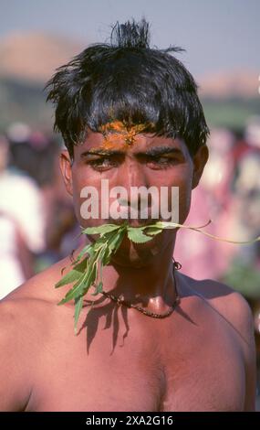 Inde : un dévot de la déesse Yellamma avec des feuilles de neem, Festival Poornima tenu près du temple Yellamma, Saundatti, Karnataka (1994). Chaque année, au mois hindou de Magh (janvier - février), plus d'un demi-million de personnes se rassemblent autour du petit temple de la déesse Yellamma à Saundatti. Yellamma est la patronne des devadasi ou des femmes dédiées au service d'une divinité ou d'un temple. Banque D'Images