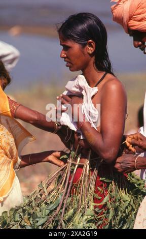 Inde : un dévot de la déesse Yellamma couvert de feuilles de neem, Festival Poornima tenu près du temple Yellamma, Saundatti, Karnataka (1994). Chaque année, au mois hindou de Magh (janvier - février), plus d'un demi-million de personnes se rassemblent autour du petit temple de la déesse Yellamma à Saundatti. Yellamma est la patronne des devadasi ou des femmes dédiées au service d'une divinité ou d'un temple. Banque D'Images