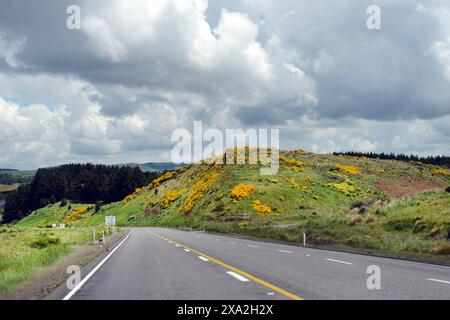 Beaux paysages dans les régions centrales de l'île du Nord en Nouvelle-Zélande. Banque D'Images