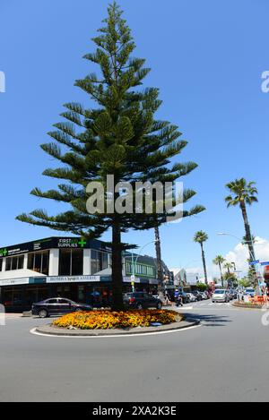 Le centre à Maunganui, Tauranga, Nouvelle-Zélande. Banque D'Images