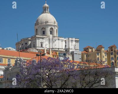 Bâtiment impressionnant avec un grand dôme et des arbres en fleurs violets au premier plan sous un ciel bleu, Lisbonne, Portugal Banque D'Images