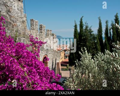 Ruines d'une ancienne forteresse avec vue sur un village, la mer et des fleurs violettes vives au premier plan, Bari, Italie Banque D'Images