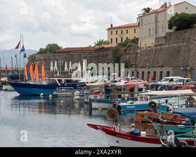 Port complet avec divers bateaux et bâtiments anciens ainsi qu'un mélange intéressant de drapeaux et de palmiers, Corse, ajaccio, France Banque D'Images