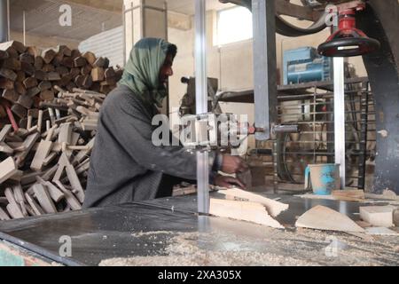 Homme travaillant dans un atelier de bois avec des machines et des bûches autour, portant des vêtements traditionnels, saule du cachemire, fabrication de chauves-souris, Jammu-et-Cachemire Banque D'Images