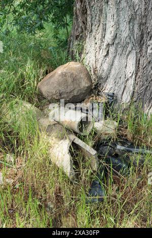 Déchets de construction en amiante éliminés illégalement dans la nature Banque D'Images