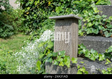 Bloc en bois avec des trous pour les insectes dans le jardin Banque D'Images