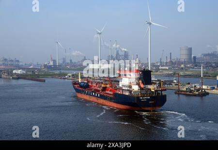 YM JUPITER Chemical/Oil Products Tanker se dirigeant vers les écluses maritimes à IJmuiden sur le canal de la mer du Nord (Noordzeekanaal) à Amsterdam, pays-Bas, UE, Banque D'Images