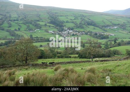 Poneys noirs tombés par une porte dans un mur de pierres sèches au-dessus de dent sur la route vers Aye Gill Pike à Dentdale, Yorkshire Dales National Park, Angleterre, Royaume-Uni. Banque D'Images