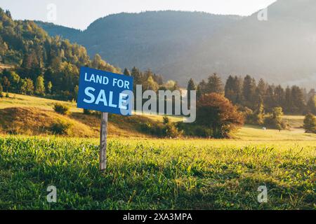 Terrain à vendre signe dans la prairie en été matin, focus sélectif Banque D'Images