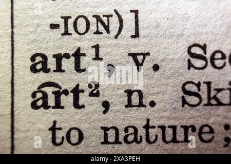 Word art sur la page du dictionnaire, macro gros plan Banque D'Images