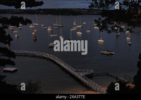 Vue sur Redleaf Pool, la promenade au-dessus de l'eau autour de la piscine et les yachts amarrés dans la baie surplombant le port de Sydney au coucher du soleil Banque D'Images