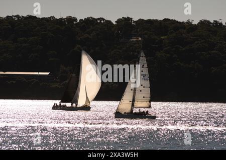 Deux yachts courent sur un étincelant port de Sydney, Georges Head, Sydney Harbour National Park derrière, vu du Nielson Park dans le Vaucluse Banque D'Images