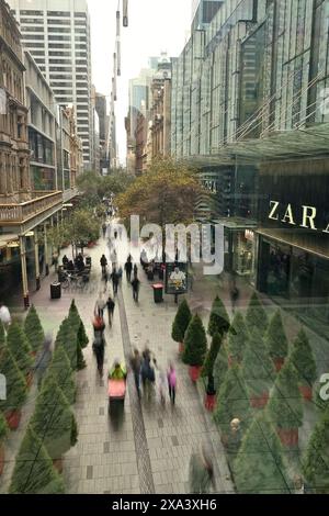 Noël en juillet dans le centre commercial Pitt Street de Sydney, des rangées d'arbres de Noël bordent la galerie marchande piétonne vue d'en haut Banque D'Images