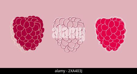 Une illustration numérique de trois framboises à différents stades de maturité sur un fond rose clair. Illustration de Vecteur