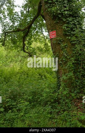 Un signe de propriété privée sur un tronc d'arbre dans une forêt. accès interdit. Enseigne de propriété privée française. Banque D'Images