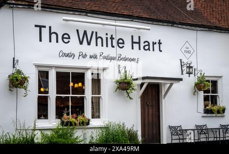 The White Hart, un pub rural, plein de caractère et de charme, à South Harting, West Sussex sur la South Downs Way. Banque D'Images