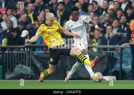 Londres, Royaume-Uni. 1er juin 2024. Julian Ryerson du Borussia Dortmund défie Vinicius Junior du Real Madrid lors du match de l'UEFA Champions League au stade de Wembley à Londres. Le crédit photo devrait se lire : Jonathan Moscrop/Sportimage crédit : Sportimage Ltd/Alamy Live News Banque D'Images