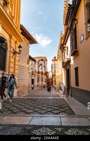 Grenade, Espagne - 22 février 2022 : extérieur du Palacio de la Madraza, ancien bâtiment arabe de Madrasa ou de l'université de Grenade, Espagne. Banque D'Images