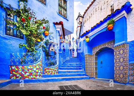 Chefchaouen, Maroc. Escalier bleu et mur décoré de pots de fleurs colorés, destination de voyage en Afrique du Nord. Banque D'Images