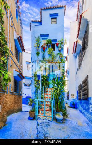 Chefchaouen, Maroc. Escalier bleu et mur décoré de pots de fleurs colorés, destination de voyage en Afrique du Nord. Banque D'Images