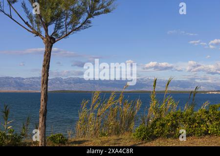 Vue sur les montagnes de Velebit depuis le village de Sabunike à travers la lagune de la mer Adriatique, Croatie Banque D'Images