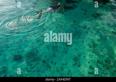 Une personne fait de la plongée en apnée dans des eaux claires et turquoise au-dessus d'un récif corallien. Banque D'Images