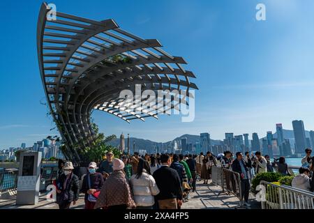 Avenue of Stars, Hong Kong, Chine, Asie Copyright : MichaelxRunkel 1184-10263 DATE D'ENREGISTREMENT NON INDIQUÉE Banque D'Images