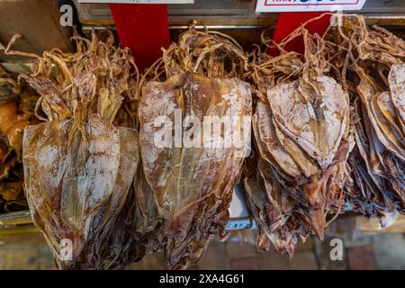 Fruits de mer inhabituels à vendre, Hong Kong, Chine, Asie Copyright : MichaelxRunkel 1184-10295 DATE D'ENREGISTREMENT NON INDIQUÉE Banque D'Images
