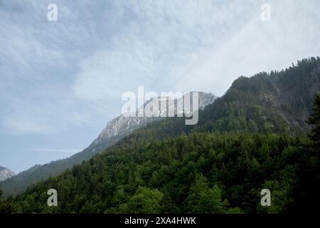 Une vue pittoresque d'un sommet de montagne s'élevant au-dessus d'une forêt verdoyante sous un ciel strié de nuages sinueux. Banque D'Images