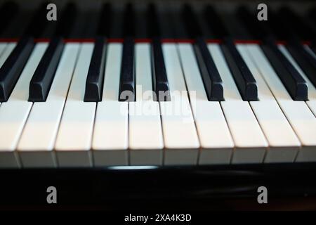 Une vue rapprochée des touches de piano noir et blanc montrant leur motif et leur symétrie. Banque D'Images