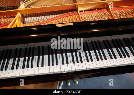 L'image présente une vue rapprochée du couvercle ouvert d'un piano à queue montrant ses touches noires et blanches, ses cordes et son mécanisme intérieur. Banque D'Images