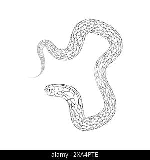 serpent noir, silhouette, contour vectoriel, symbole 2025, fond blanc isolé Illustration de Vecteur