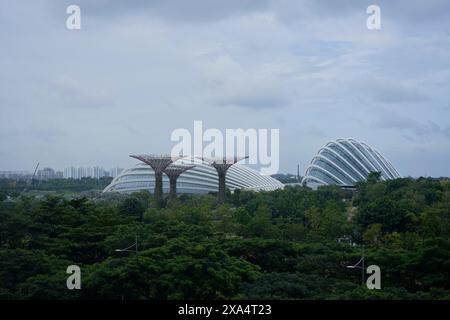 Architecture des jardins près de la baie avec ses Supertrees distinctifs et Flower Dome à Singapour. Banque D'Images