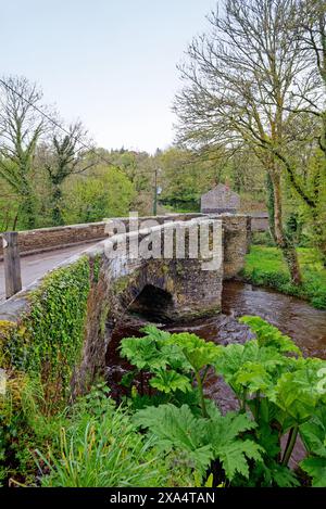 Le pont médiéval à Hellandbridge qui passe au-dessus de la rivière Camel près de Bodmin profond dans la campagne de Cornouailles Angleterre Banque D'Images