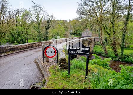 Le pont médiéval à Hellandbridge qui passe au-dessus de la rivière Camel près de Bodmin profond dans la campagne de Cornouailles Angleterre Banque D'Images