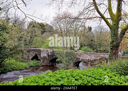 Le pont médiéval à Hellandbridge qui passe au-dessus de la rivière Camel près de Bodmin profond dans la campagne de Cornouailles Angleterre Banque D'Images