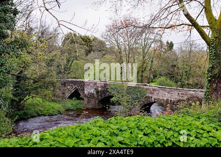 Le pont médiéval à Hellandbridge qui passe au-dessus de la rivière Camel près de Bodmin profond dans la campagne de Cornouailles Angleterre Banque D'Images