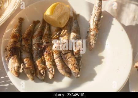 Sardines grillées servies sur une assiette blanche avec un coin de citron à la lumière douce du soleil. Banque D'Images