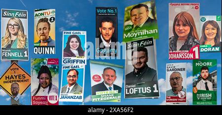 Affiches électorales pour 14 des 17 élections locales dans la circonscription de Palmerstown Fonthill de 5 sièges du South County Dublin Council. Deux candidats du Sinn Fein ne sont pas inclus et un candidat indépendant. Banque D'Images