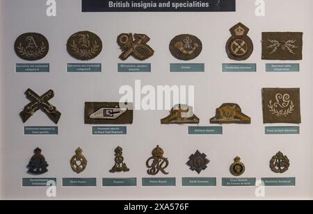 Détail des différents patchs et insignes des spécialités britanniques au musée de la bataille de normandie. Seconde Guerre mondiale Banque D'Images