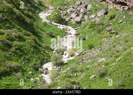 Un ruisseau de montagne serpentant à travers une gorge rocheuse et des prairies verdoyantes Banque D'Images