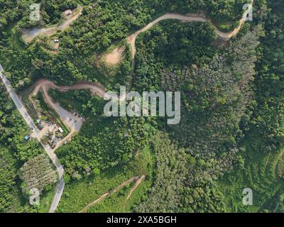 Une vue aérienne d'un chemin de terre serpentant à travers une jungle luxuriante avec des arbres denses des deux côtés Banque D'Images