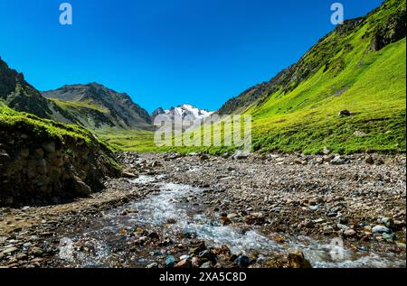 Une vue panoramique de la prairie de Nalati dans l'arrière-pays des montagnes de Tianshan au Xinjiang, en Chine Banque D'Images